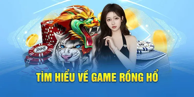 Chiến Thuật Chinh Phục Trò Chơi Dragon Tiger Tại VNZ6 Hiệu Quả