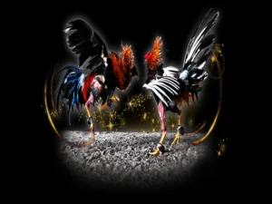 Bí Quyết Săn Thưởng Khi Tìm Hiểu Cách Chơi Đá Gà Sabong Tại VNZ6