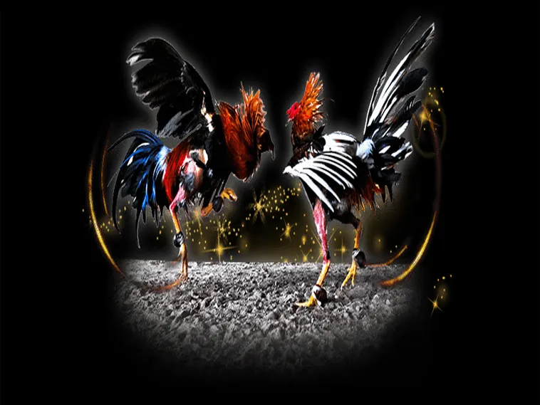 Bí Quyết Săn Thưởng Khi Tìm Hiểu Cách Chơi Đá Gà Sabong Tại VNZ6 1 Bí Quyết Săn Thưởng Khi Tìm Hiểu Cách Chơi Đá Gà Sabong Tại VNZ6