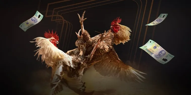 Đá Gà VNZ6 Trực Tiếp Thomo Campuchia Đỉnh Cao Sôi Động Nhất 2025 1 Đá Gà VNZ6 Trực Tiếp Thomo Campuchia Đỉnh Cao Sôi Động Nhất 2025