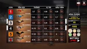 Chiến Lược Chơi Game Nhanh Đua Chó Tại VNZ6 Chuẩn Từ Cao Thủ