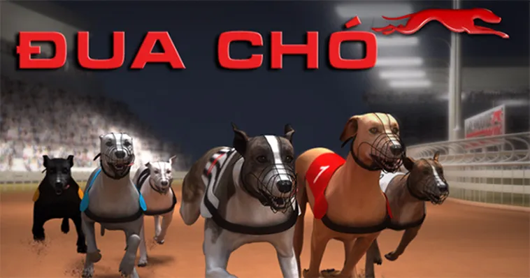 Chiến Lược Chơi Game Nhanh Đua Chó Tại VNZ6 Chuẩn Từ Cao Thủ 2 Chiến Lược Chơi Game Nhanh Đua Chó Tại VNZ6 Chuẩn Từ Cao Thủ